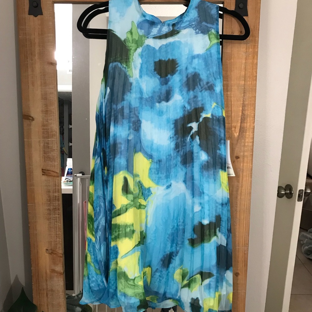 *NEW* pleated Bb Dakota floral dress